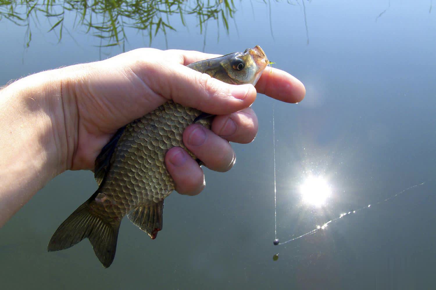 鳞光闪动诱, 水深 鳞光闪动诱, 水深